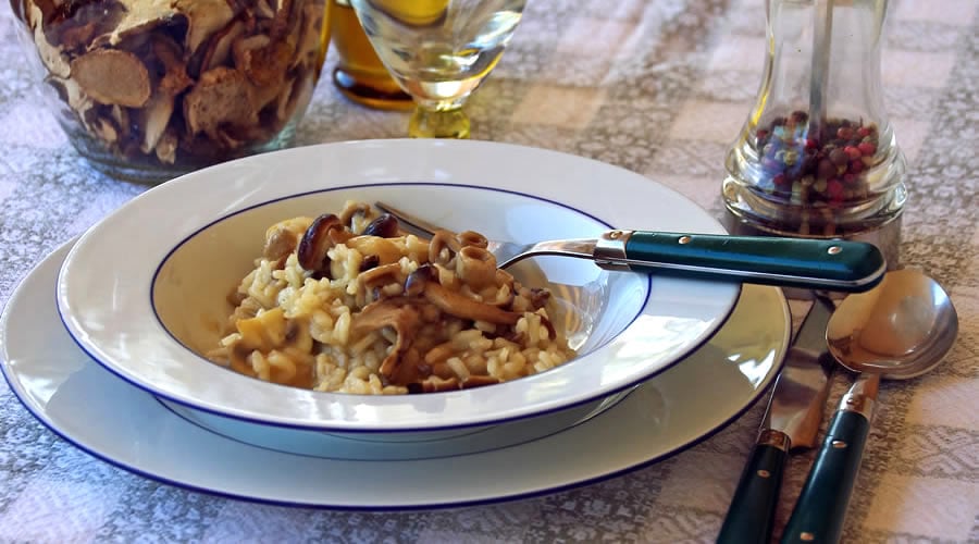 Rezept-Suche 351 Pilzreis auf dem Teller