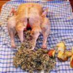 Omas gefüllte Weihnachtsgans mit Beifuß, ganz simpel 4 Gans vorbereitet