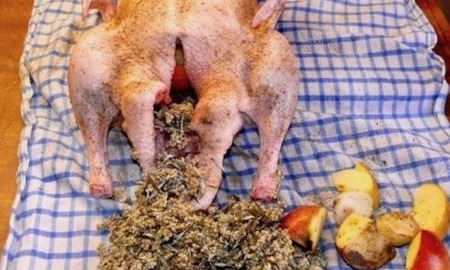 Omas gefüllte Weihnachtsgans mit Beifuß, ganz simpel 3 Gans vorbereitet