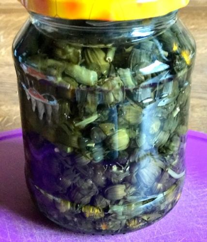Kapern selbst einlegen: mit Blumenknospen 1 Kapern im Glas eingelegt