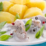 Matjesheringe_eingelegt_rezept_hausfrauenart