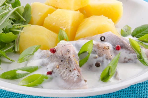 Matjes - Heringe einlegen nach Großmutters Art | Omas Rezepte