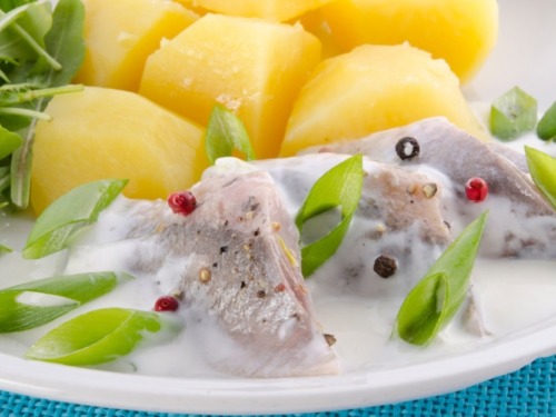 Eingelegte Matjes-Heringe nach Großmutters Art 3 joghurtmatjes-filets-rezept