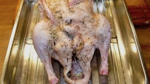 Omas gefüllte Weihnachtsgans mit Beifuß, ganz simpel 2 Weihnachtsgans Rezept traditionell wie bei Oma