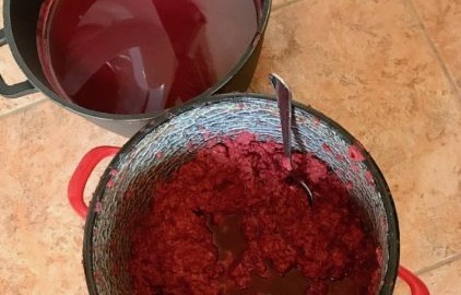 Kirsch-Grießbrei mit Kornelkirschen 4 Kornelkirschen Saft