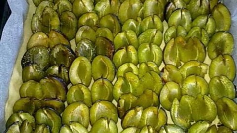 Omas Zwetschgenkuchen mit Streuseln und Hefeteig 3 zwetschen