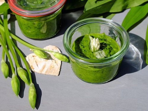 Omas nussiges Bärlauch–Pesto 4 Bärlauch Pesto im Glas
