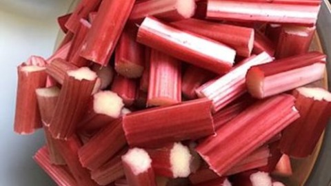 Roter Rhabarber geschnitten