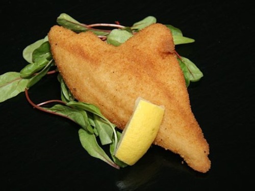 Fischfilet gebraten