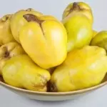 Quitten