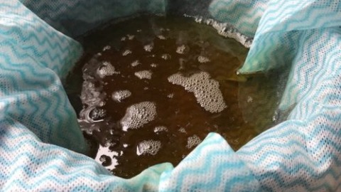 Quittensaft auffangen im Tuch