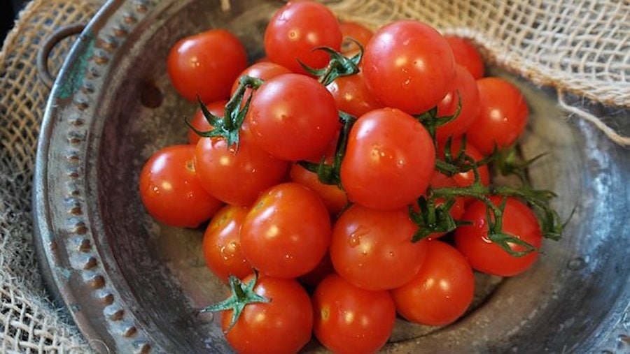Rezept-Suche 175 Tomaten frisch