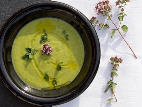 Wunderbare Zucchini-Gorgonzola-Sauce 3 Zucchini Soße