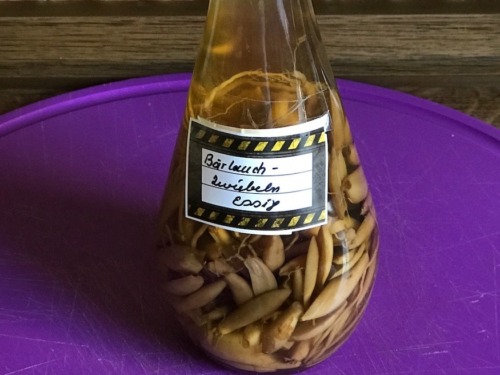 Bärlauch-Essig, auf 2 Arten 3 Bärlauchzwiebeln in Essig in der Flasche