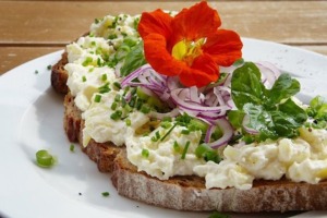 Mit Kräutern kochen - eine Zeitreise durch Jahrhunderte 3 Quarkbrot mit frischen Kräutern
