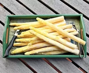 Spargel