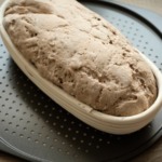 roggenteig-roh-gegangen