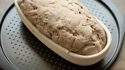 Einfaches Roggenbrot ohne Sauerteig 3 roggenteig-roh-gegangen