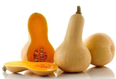 butternut butternuss kürbis
