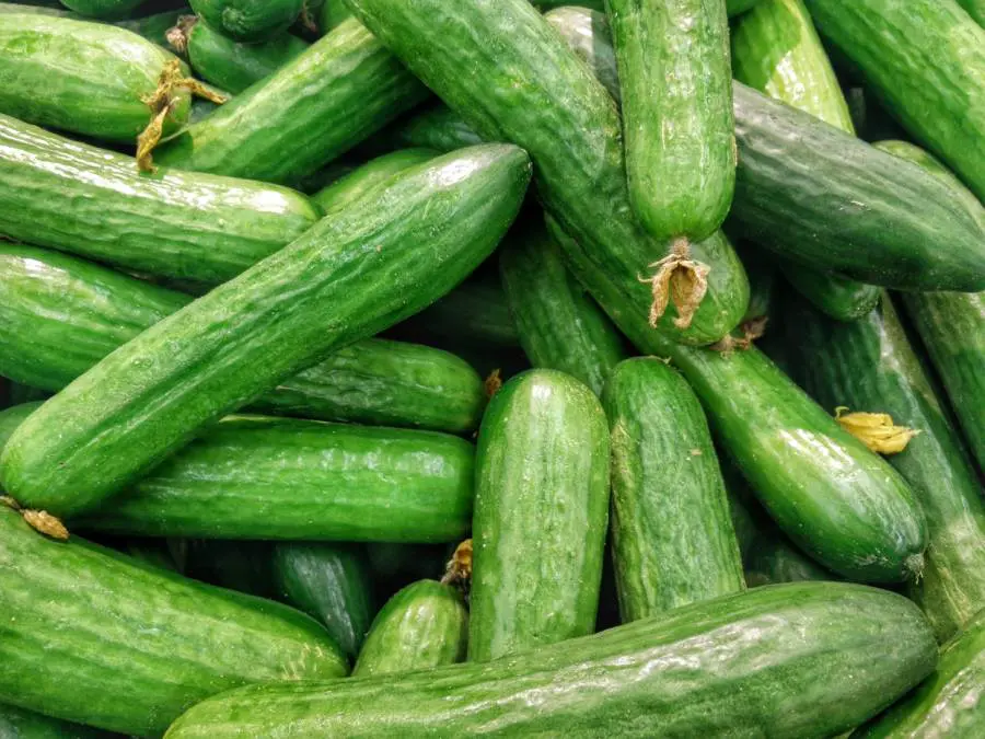Kalte Gurkensuppe - erfrischend und blitzschnell | Omas Rezepte