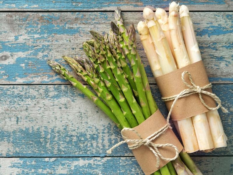 alles-uber-spargel-mit-rezepten