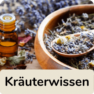 Kräuterwissen-icon