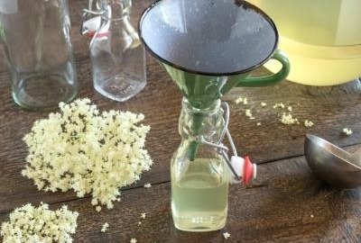 Holunderblütensirup von Oma 4 holunderblütensirup-abfuellen