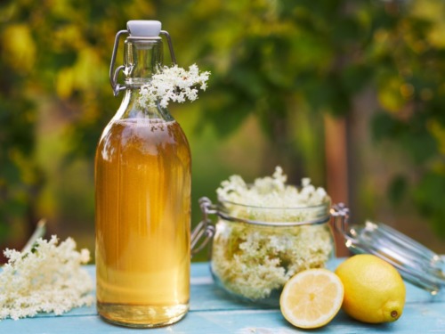 holunderblutensirup-rezept-frisch