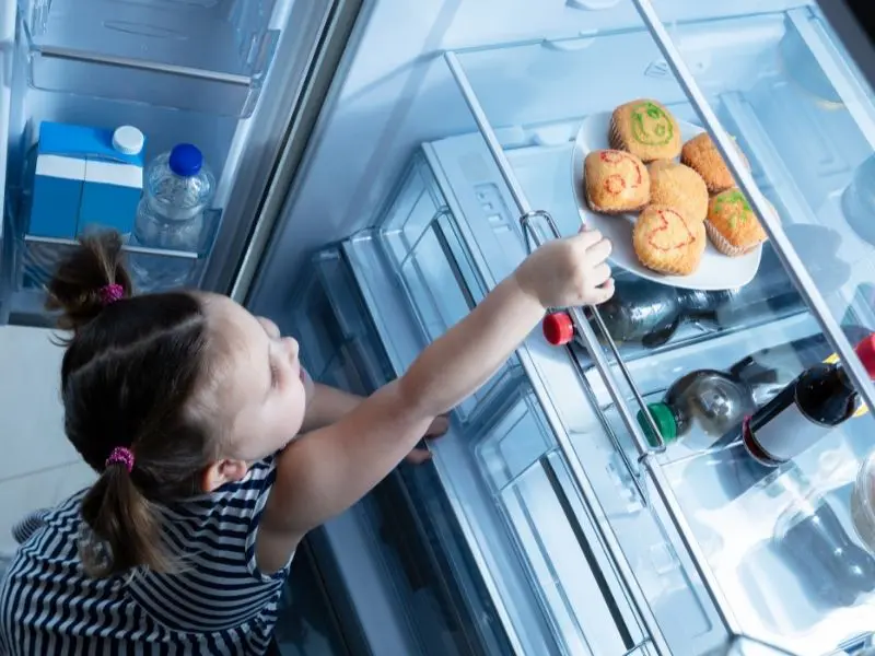 muffins-kuhlschrank