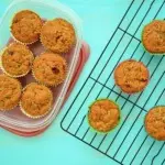 muffins-plasticdose