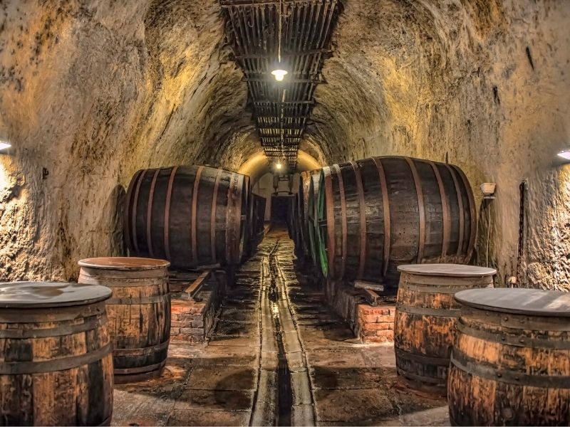 50+ interessante & lustige Fakten über Lebensmittel 3 bierfässer-keller
