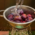 zwetschgen-waschen