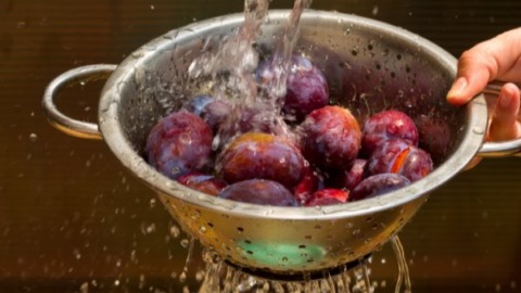 Omas Zwetschgenkuchen mit Rührteig 5 zwetschgen-waschen