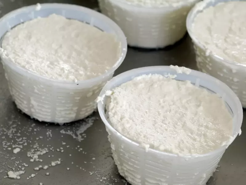Ricotta selbstgemacht Omas Rezepte