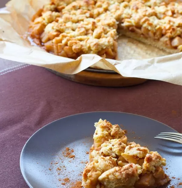 apfelnusskuchen-rosinen-zimt