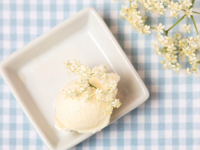 Holunderblüten-Eiscreme 1 eis-holunderbluete-teller
