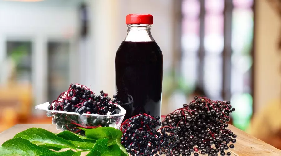 Hausgemachter Holunderbeersaft 1