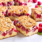 himbeerkuchen-streusel-blech-rezept