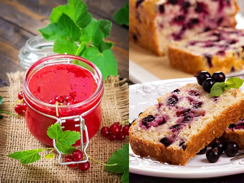 Die besten Johannisbeer-Rezepte | Omas Rezepte