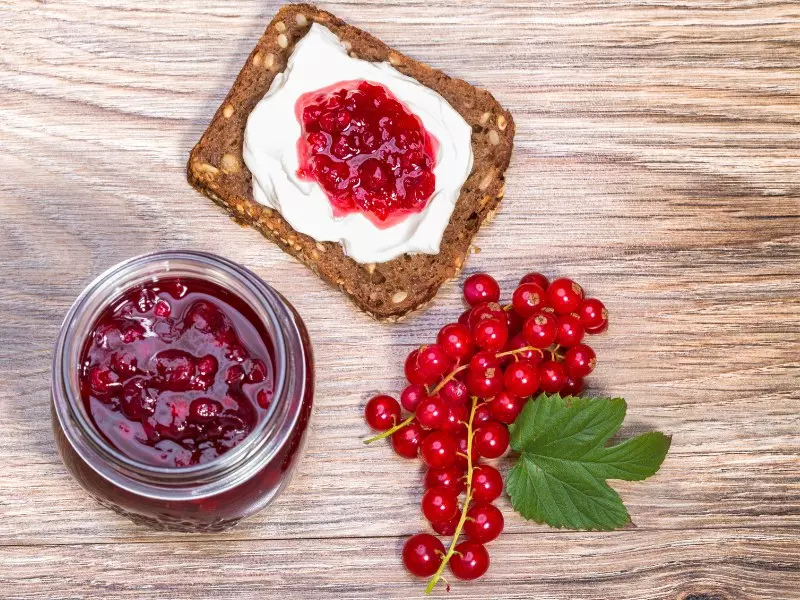 johannisbeermarmelade-brot