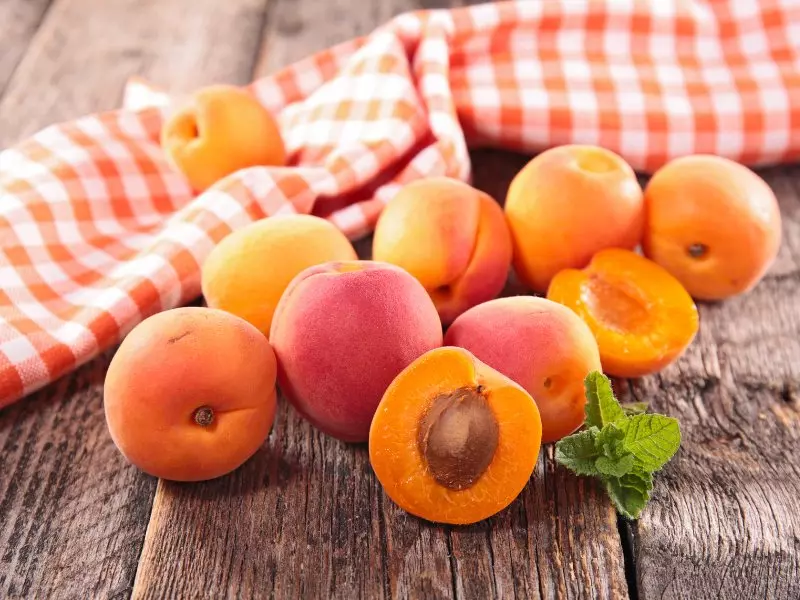 aprikosen-frisch