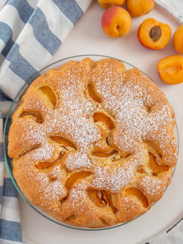 aprikosenkuchen-rund-ganz