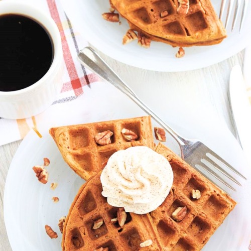 Köstlich gewürzte Kürbiswaffeln 24 kuerbiswaffeln-t