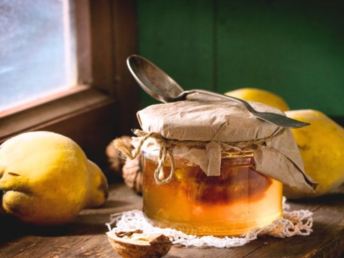 Quittensirup einfach selbst machen - Oma Kocht