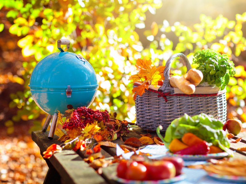 grillen-picknick